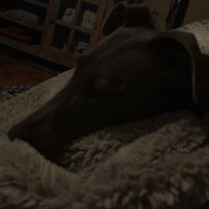 Meet your Posher, Rachel